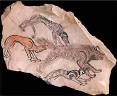 frammento di petroglifo, levrieri e iene